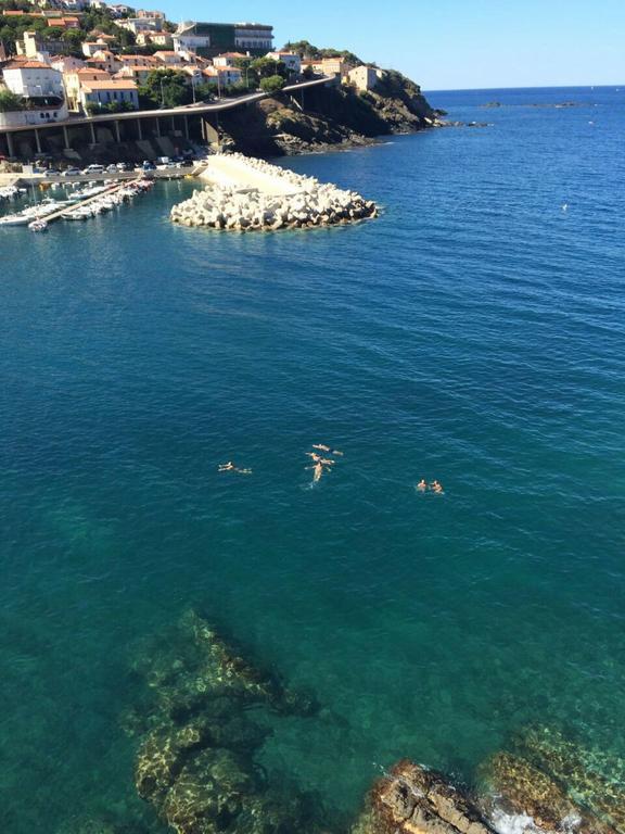 Hotel La Vigie - Face à la mer Cerbère Eksteriør bilde
